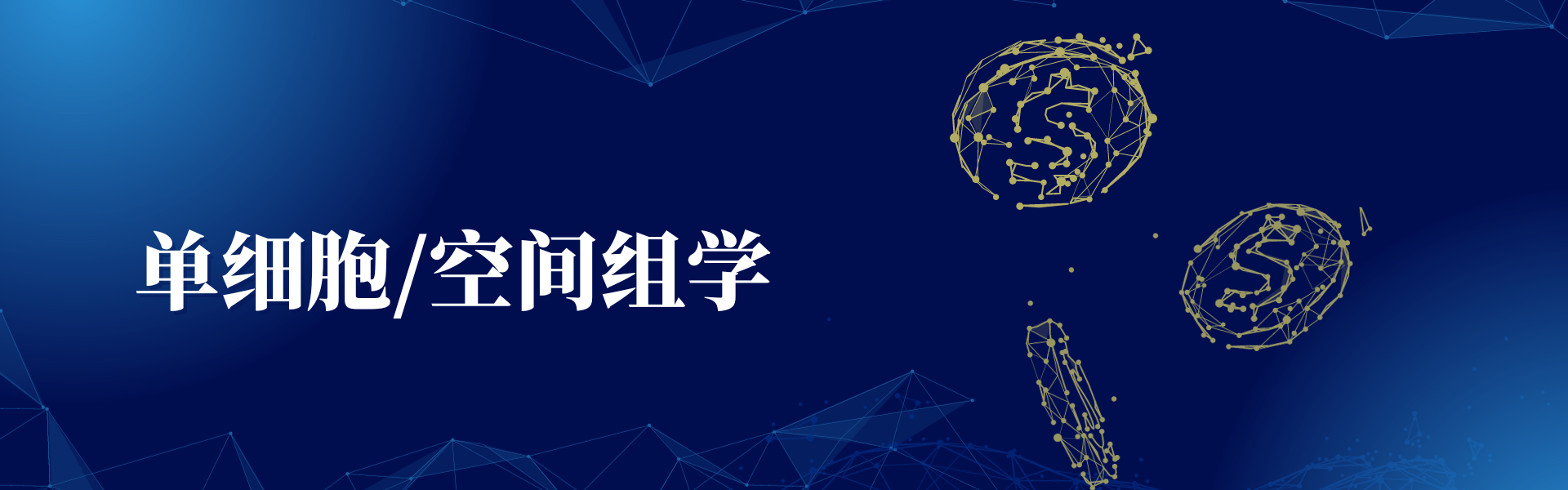 投注平台app下载