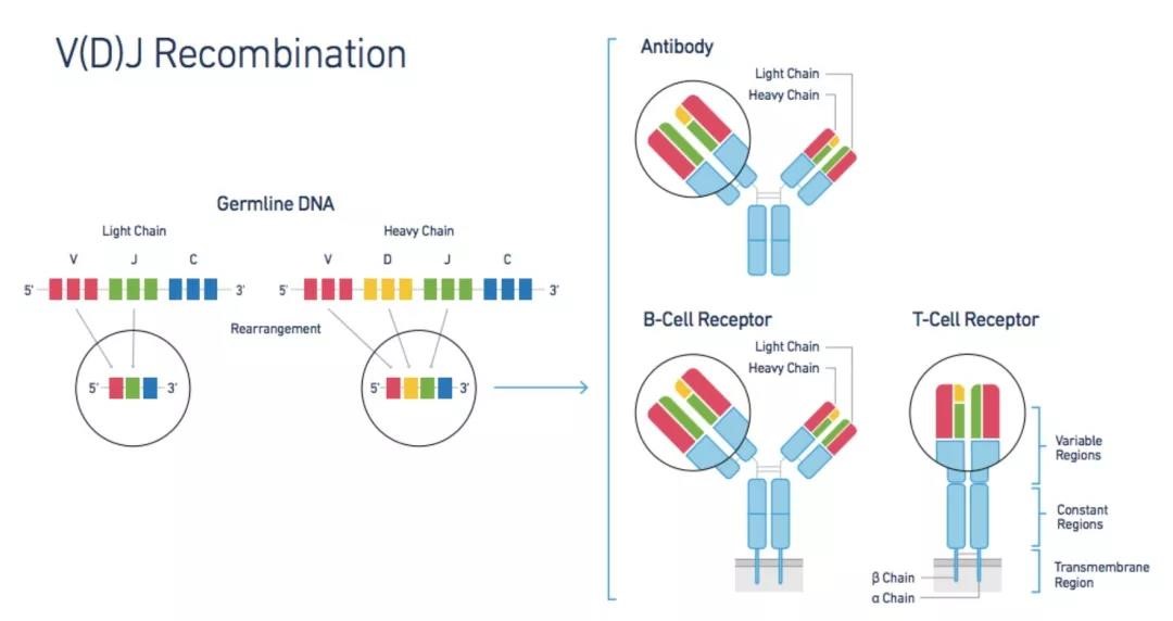 投注平台app下载