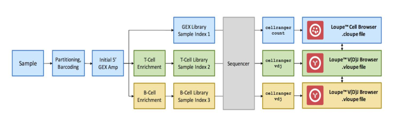 投注平台app下载