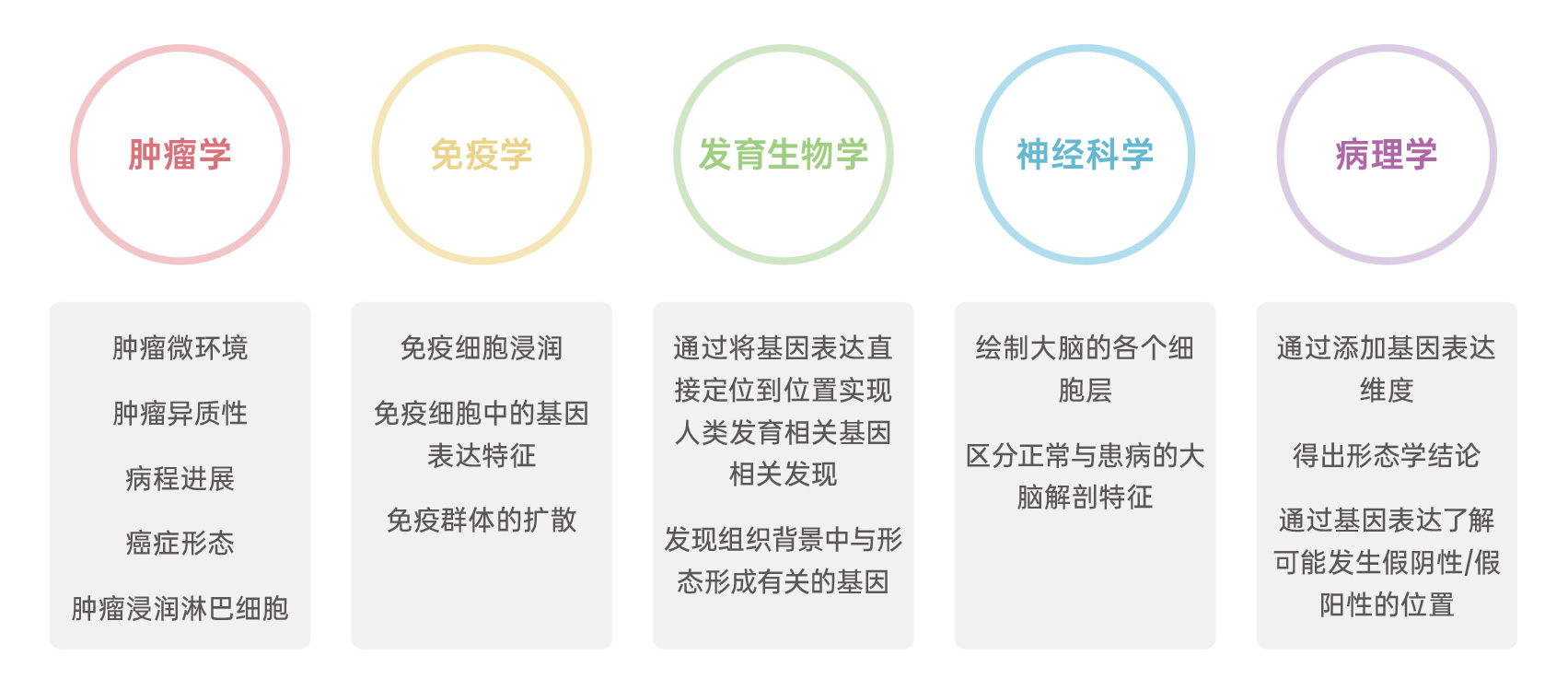 {xunruicms_img_title}