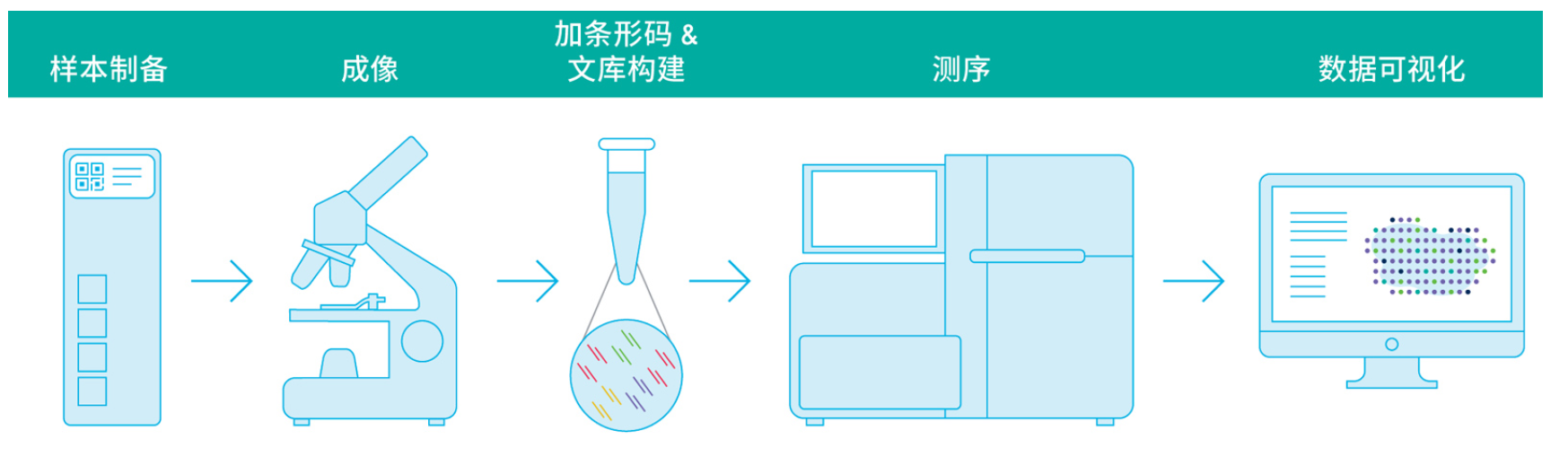 投注平台app下载