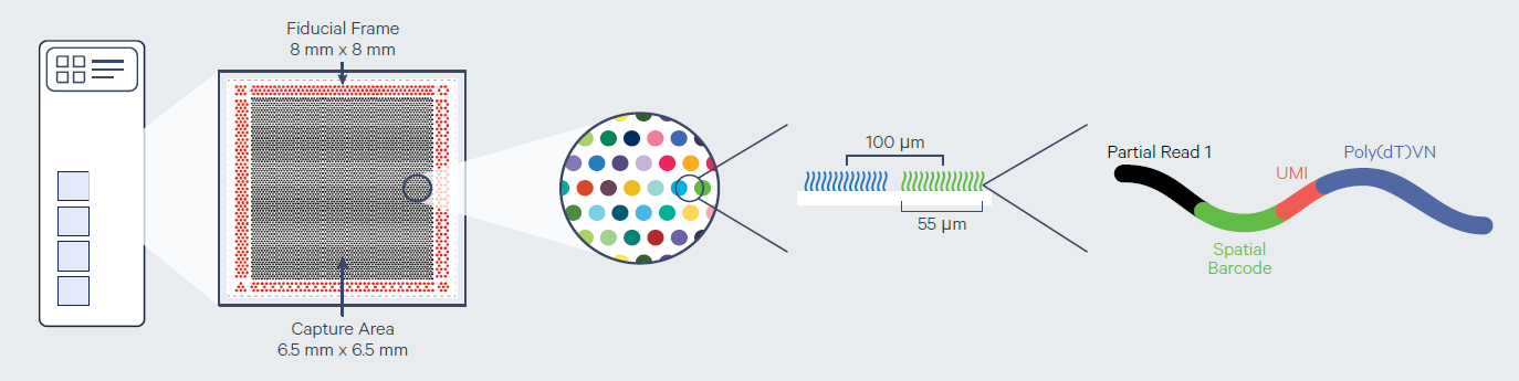 投注平台app下载