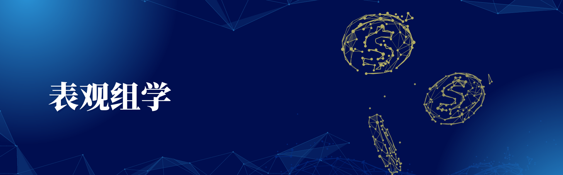 投注平台app下载