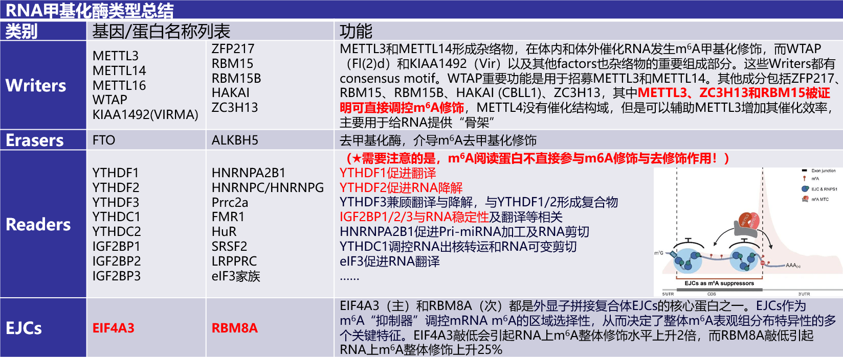 投注平台app下载