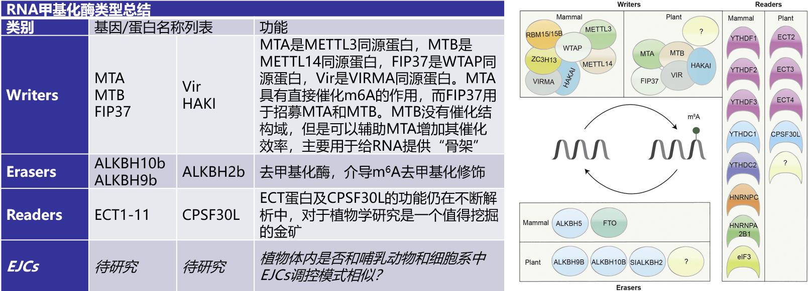 投注平台app下载