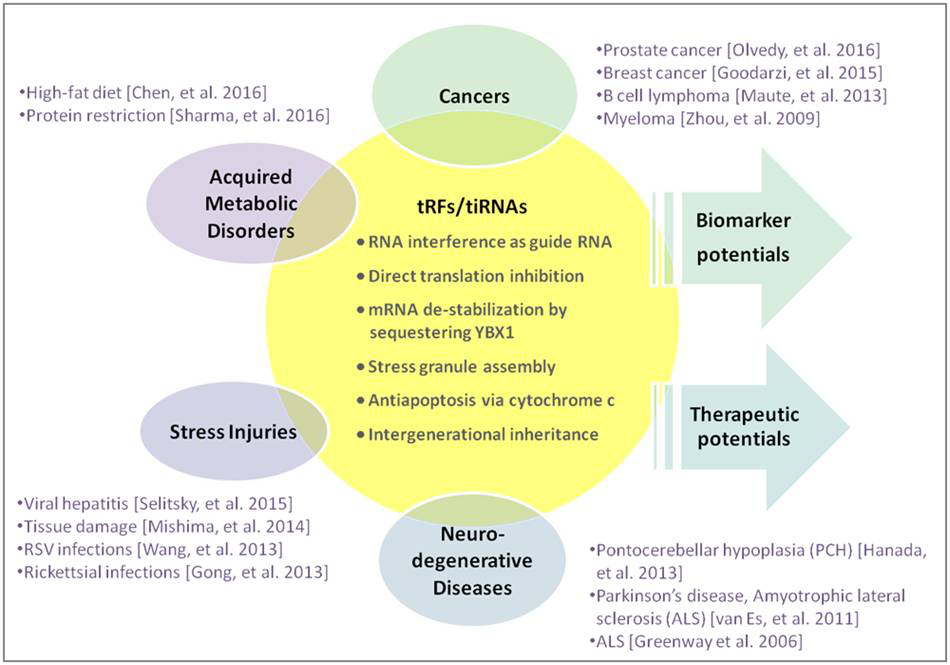 投注平台app下载