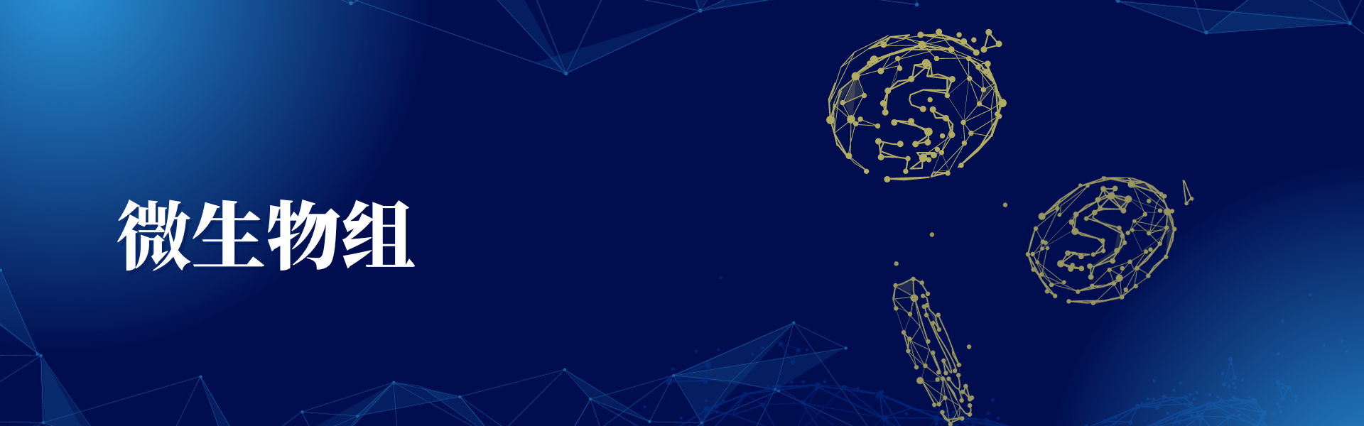 投注平台app下载