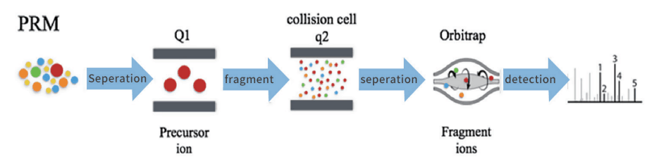 投注平台app下载