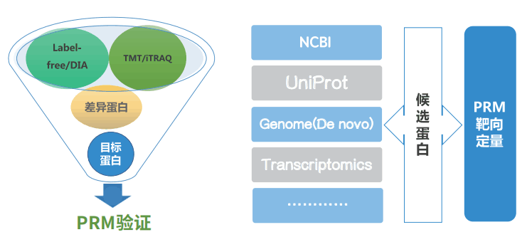 投注平台app下载
