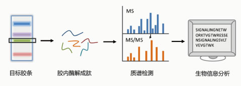 投注平台app下载
