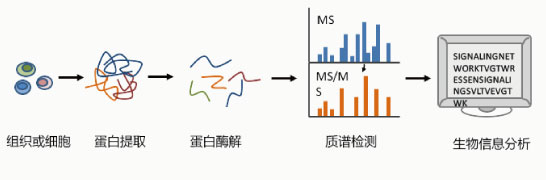 投注平台app下载