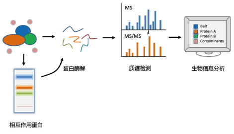 投注平台app下载
