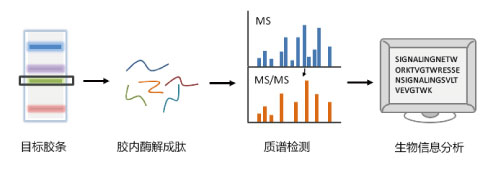 投注平台app下载