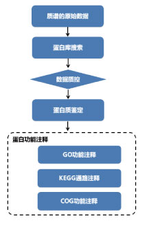 投注平台app下载