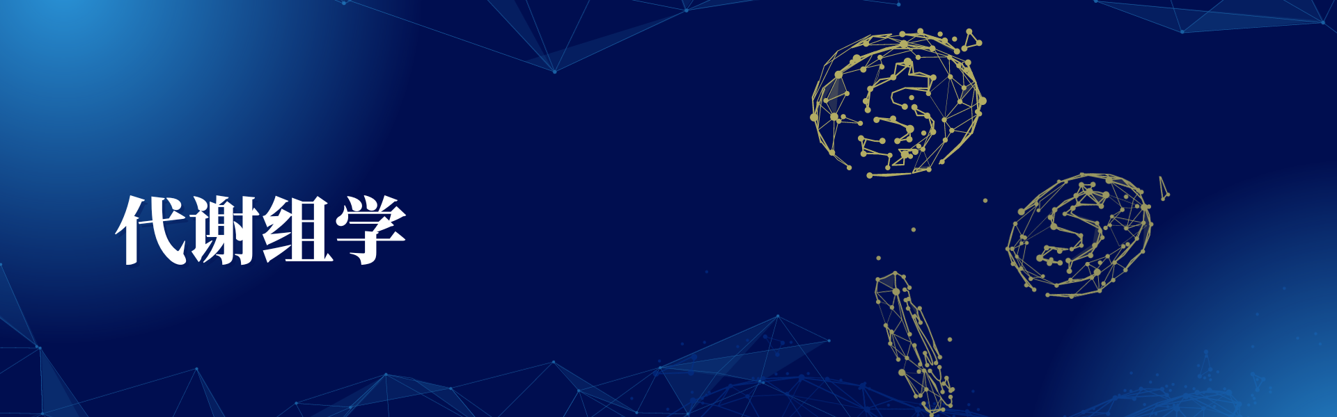 投注平台app下载