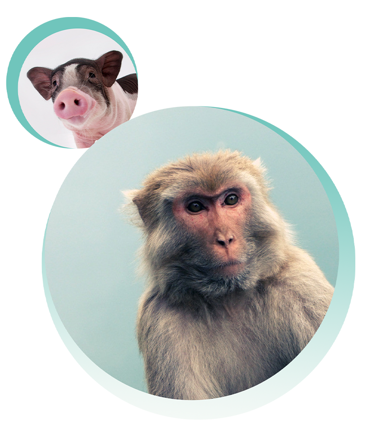 投注平台app下载