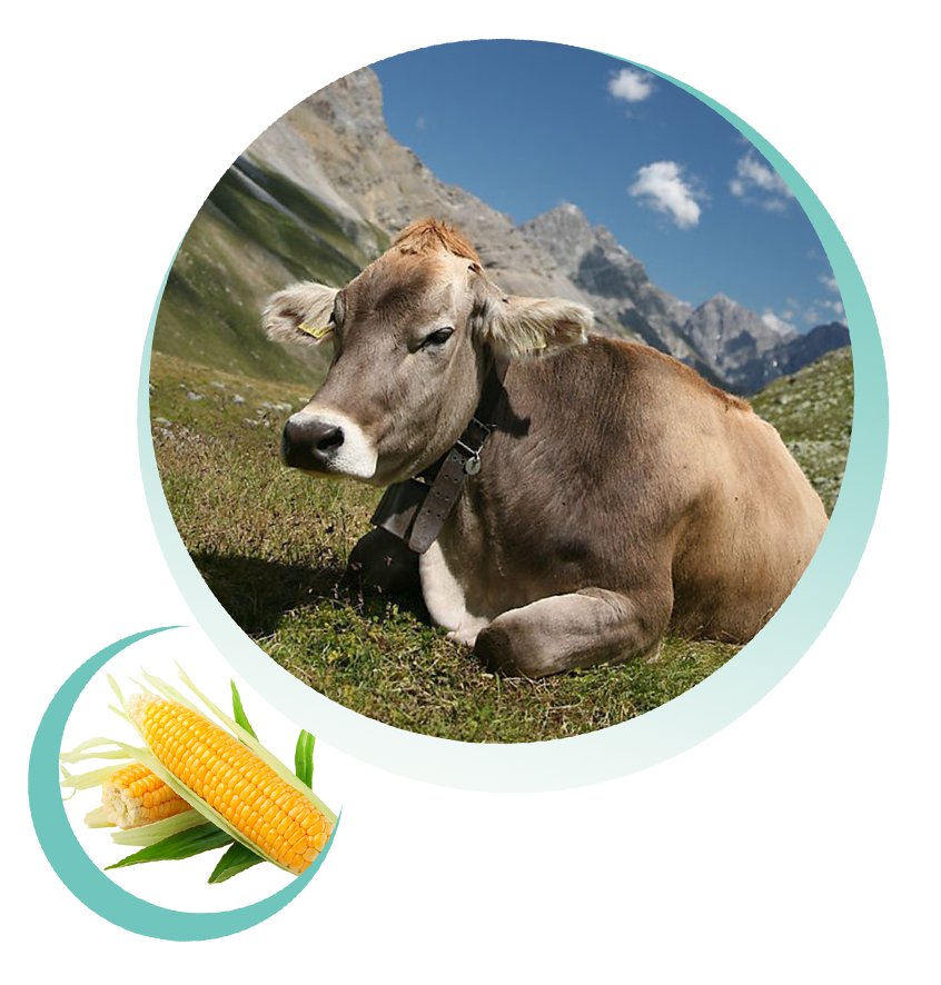 投注平台app下载