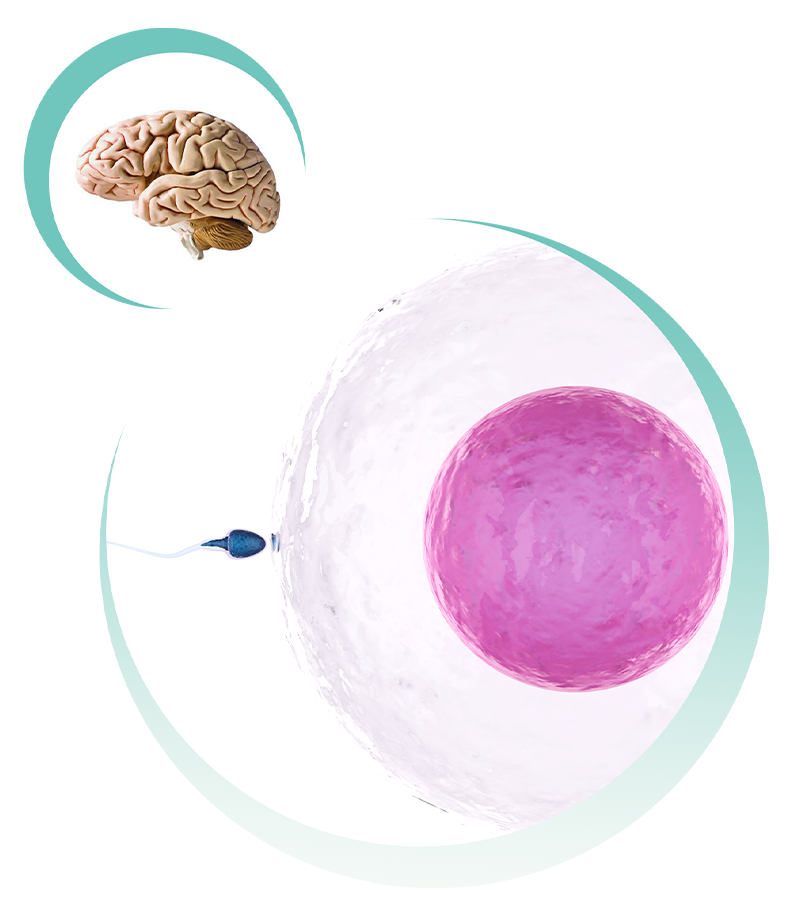 投注平台app下载