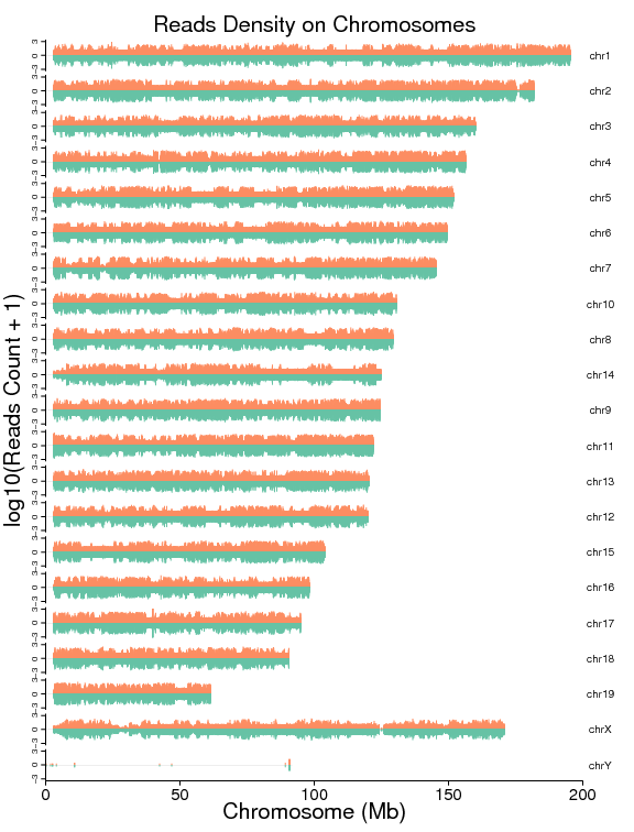 染色体中Reads密度分布图.png