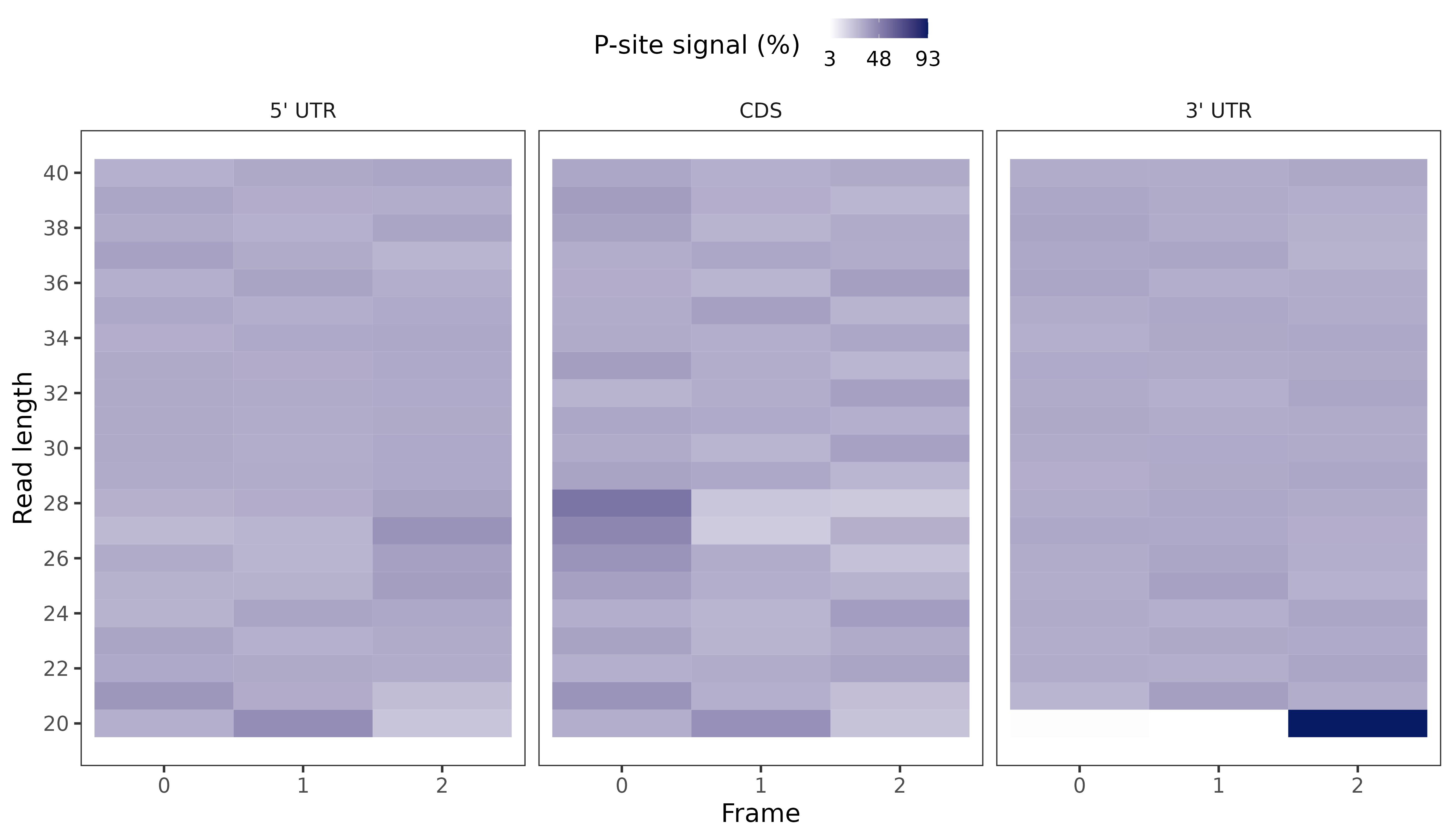 RFs的P-site热图 .png