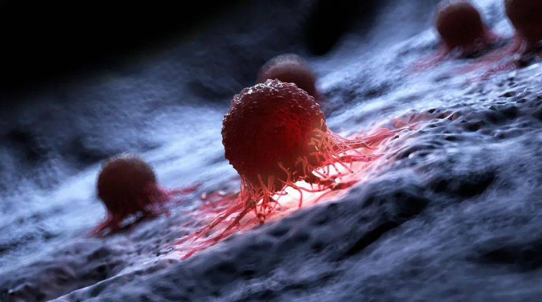 文献解读|Nature（64.8）：原发性和转移性实体瘤的泛癌全基因组比较