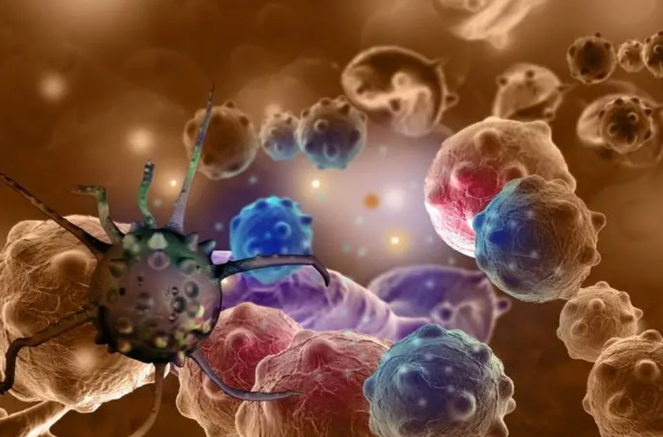 文献解读|Adv Sci（15.1）：局部晚期宫颈鳞状细胞癌的单核转录组分析鉴定