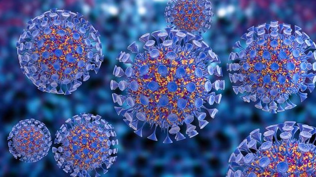 文献解读|Signal Transduct Target Ther（39.3）：