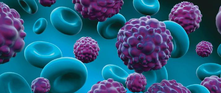 文献解读|Nat Commun（16.6）：SETD2缺失加速鞘磷脂积累并促进肾