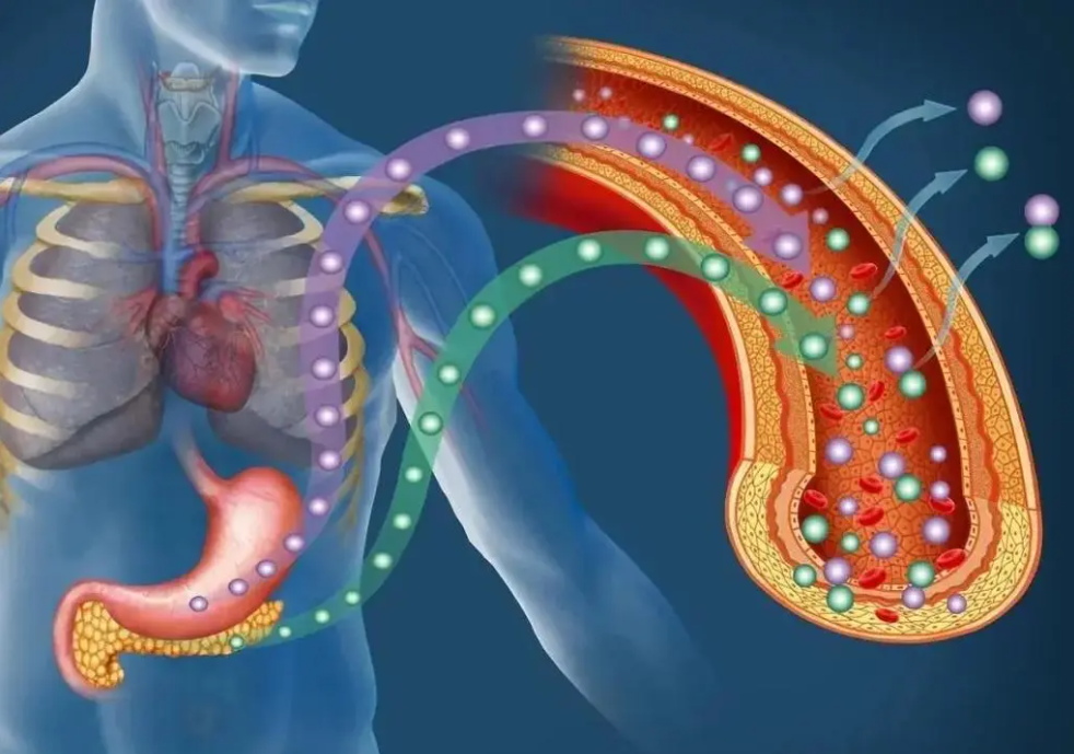 文献解读|Nature Cancer（22.7）：持久细胞表型导致 PDAC 新