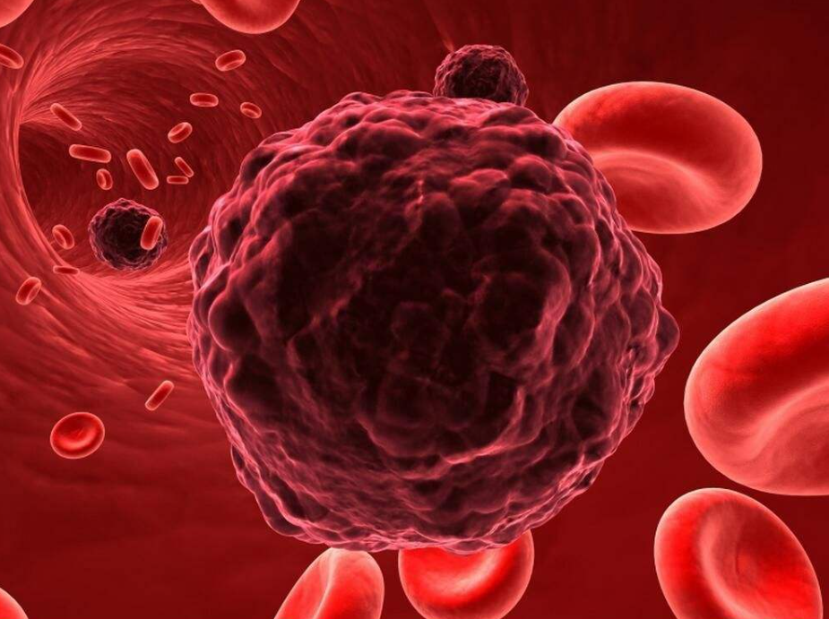 文献解读|Nat Commun（16.6）：通过整合单细胞和空间转录组分析描绘肢