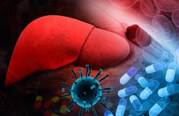 文献解读|Cell Host Microbe（30.3）：长双歧杆菌促进肝细胞癌