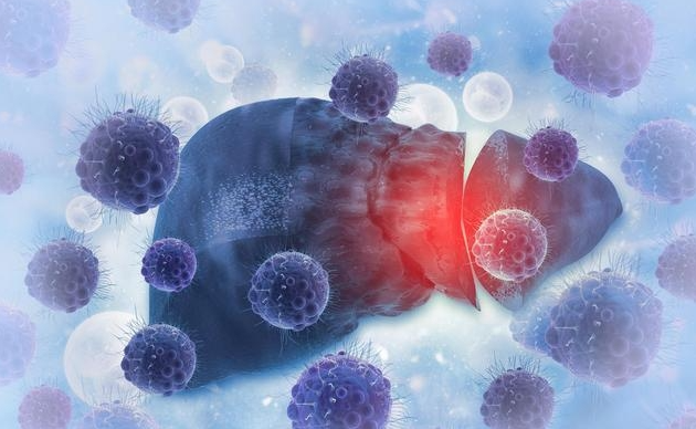 文献解读|Cancer Cell（50.3）：综合多组学分析剖析转移性肝细胞癌的