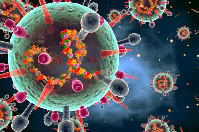 文献解读|Nat Commun（16.6）：TRIM40通过破坏肠道屏障完整性驱