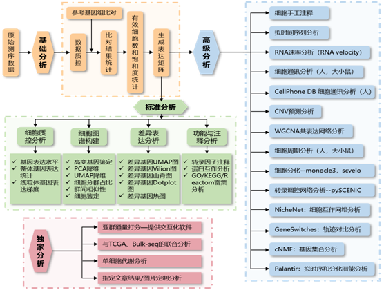 与高级生信分析面对面！单细胞分析不犯难！