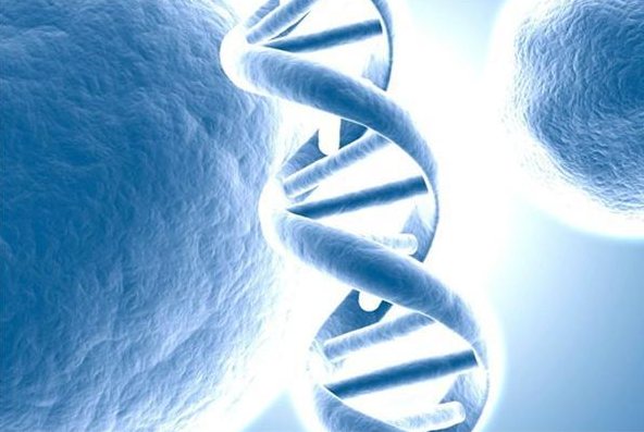 文献解读|Cell Rep（8.8）：基因调控网络分析预测 FLT3-ITD+ 