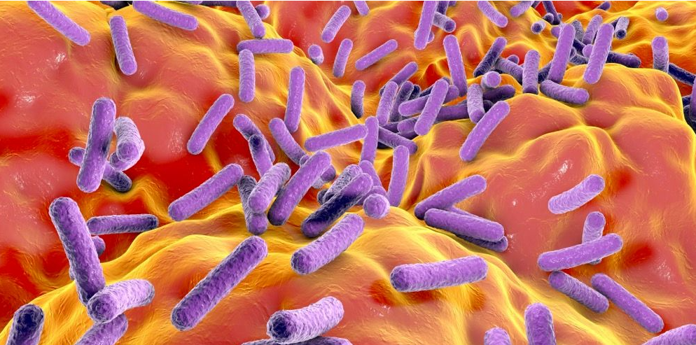 文献解读|Cell Host Microbe（30.3）：粪便代谢分析可识别肝移