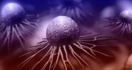 文献解读|Cell Rep Med（14.3）：启动子高甲基化导致的基因沉默塑造