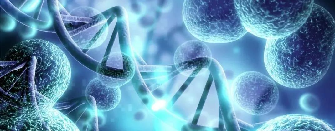 投注平台app下载