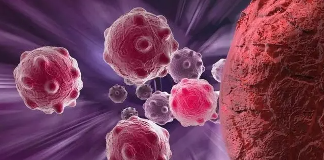 文献解读|Cell（64.5）：小细胞肺癌的蛋白质组学特征确定了生物学见解和亚型