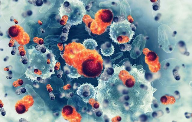 文献解读|Cell Rep Med（14.3）：对免疫治疗耐药的微卫星不稳定性高