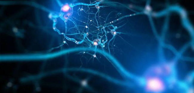 文献解读|Nature（64.8）：小鼠全脑脊髓投射神经元的转录组分类学