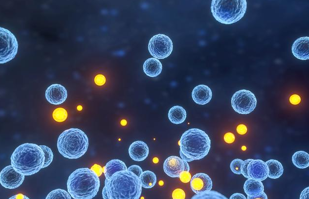 文献解读|Nat Commun（16.6）：中性粒细胞活化和克隆性CAR-T再扩