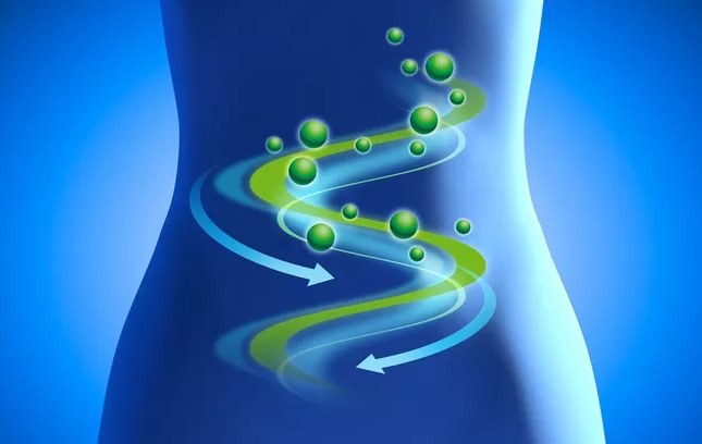 文献解读|Cell Host Microbe（30.3）：肠道微生物胆汁酸轴在阿