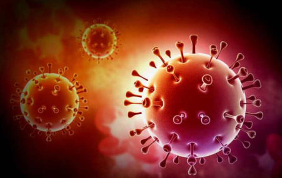 文献解读|J Med Virol（12.70）：代谢改变揭示了感染 SARS-C