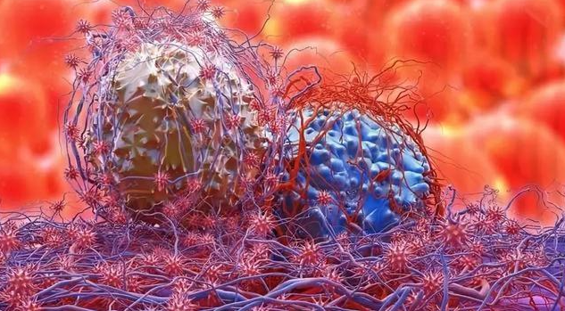 文献解读| Cancer Cell（50.3）：肿瘤内乳杆菌通过乳酸诱导的代谢重