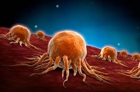 文献解读|Cell Rep Med（14.3）：肝胆肿瘤类器官的综合表征提供了药