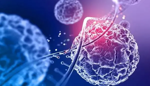 文献解读|Cancer Discov（28.2）：ONC201 在 H3K27M