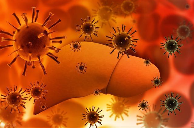 文献解读|Sci Transl Med（17.1）：用于精准肿瘤学的肝癌类器官的