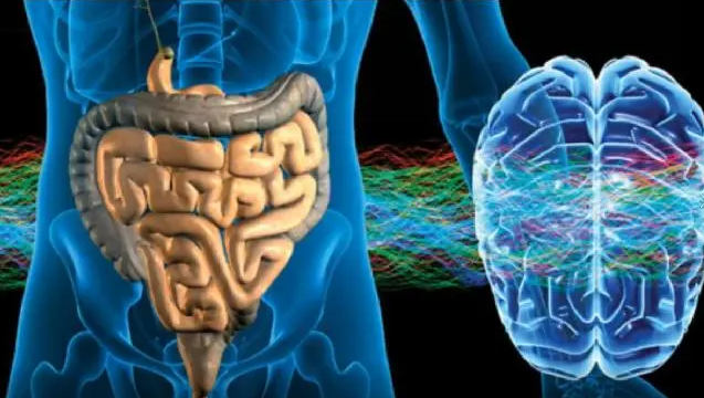 文献解读|Psychiatry Res（11.30）：综合多组学分析揭示重度抑郁