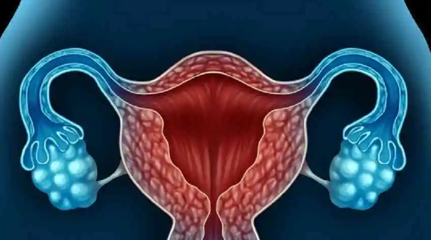 文献解读|Protein Cell（21.10）：时空转录组学揭示灵长类动物卵巢